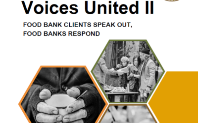 Voices United II Report